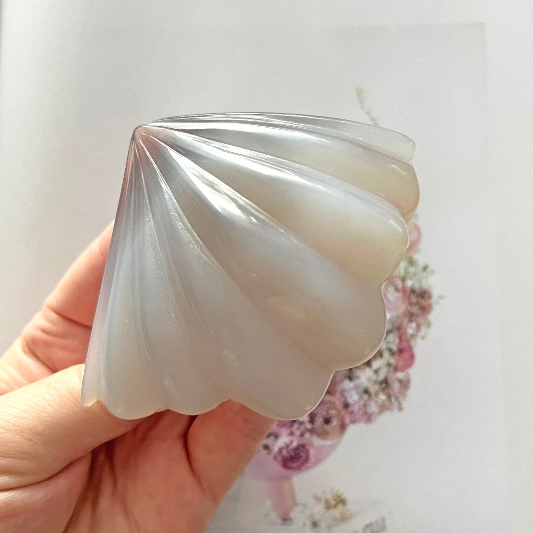 Druzy Agatę carving sea shell