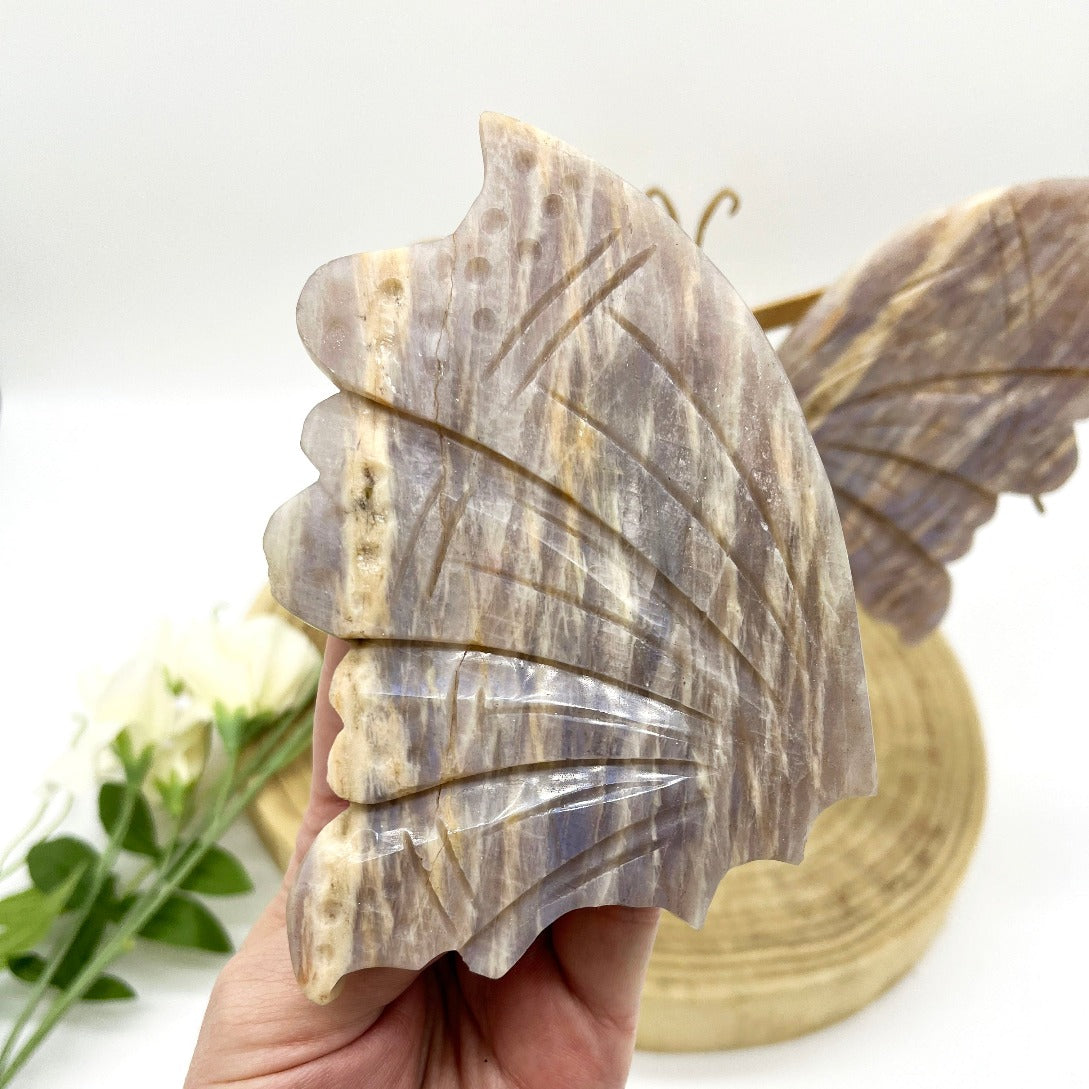 Peach moonstone butterfly wings