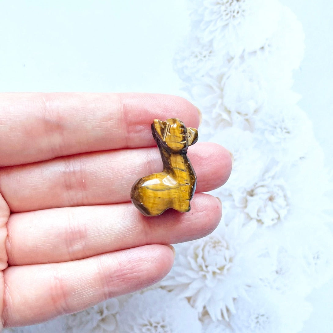 Tiger eye llama