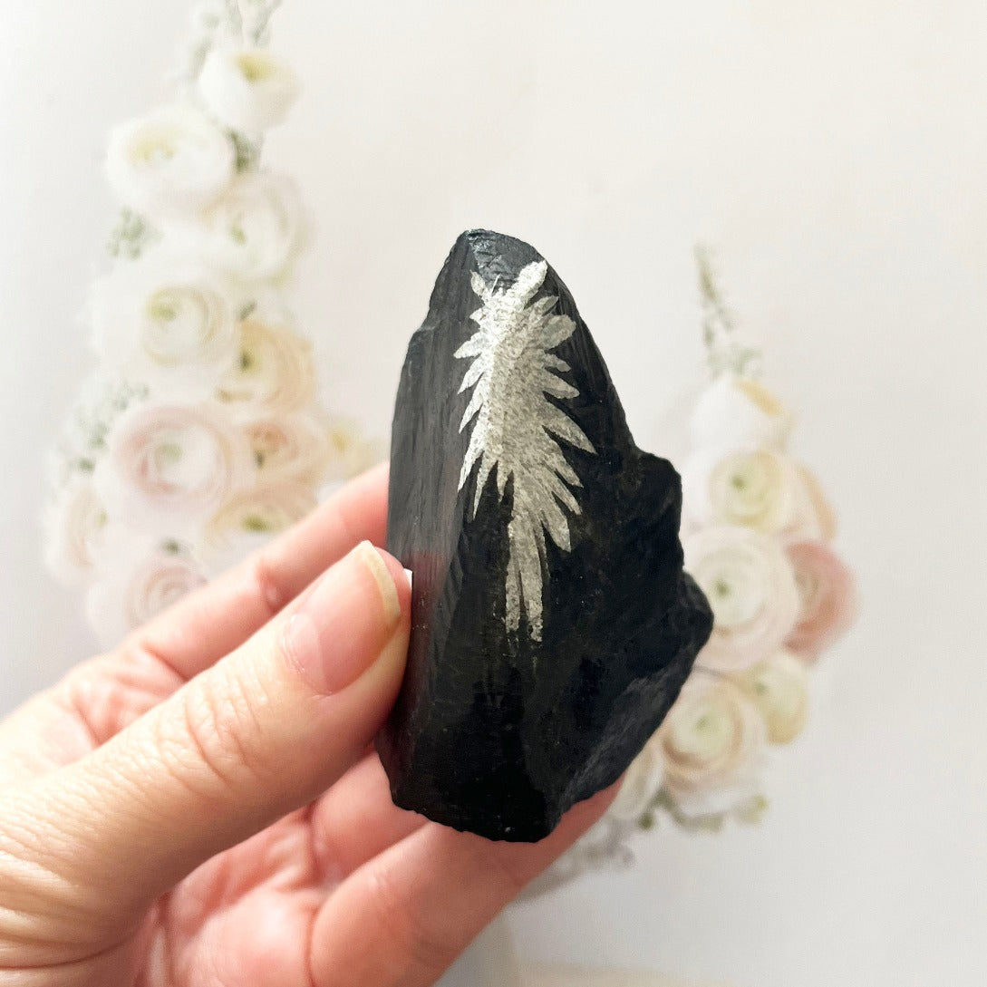 Rare double flower chrysanthemum stone fossil