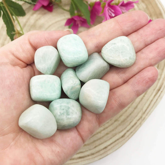 Amazonite Tumbled Stones