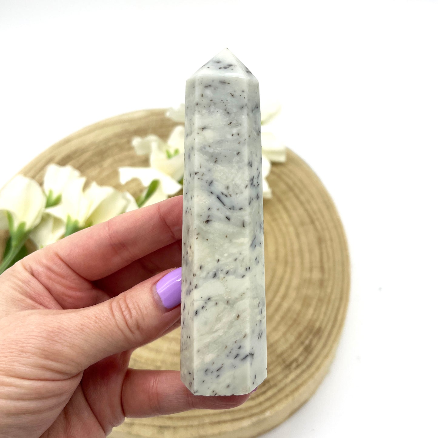 Polished crystal generator Dendritic Jasper Australia