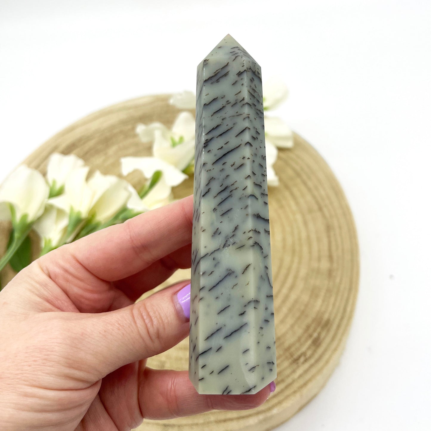 Polished Dendritic generator crystals Australia
