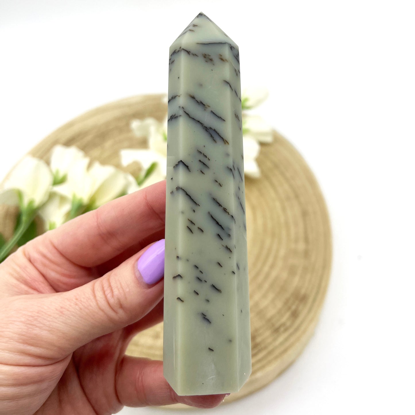 Polished crystal point dendritic jasper Australia