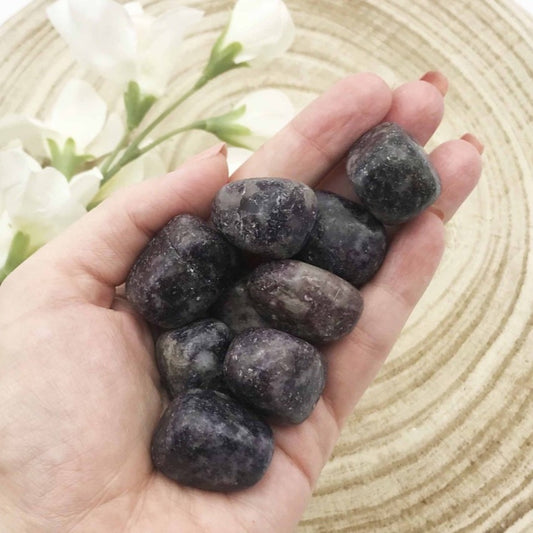Lepidolite Tumbled Stone