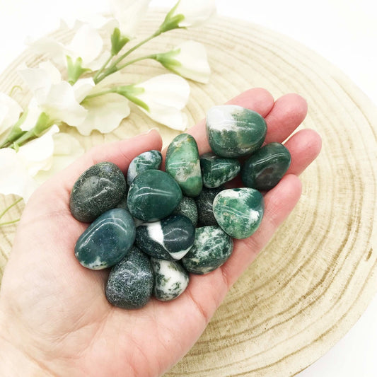 Moss Agate Tumbled stone crystal