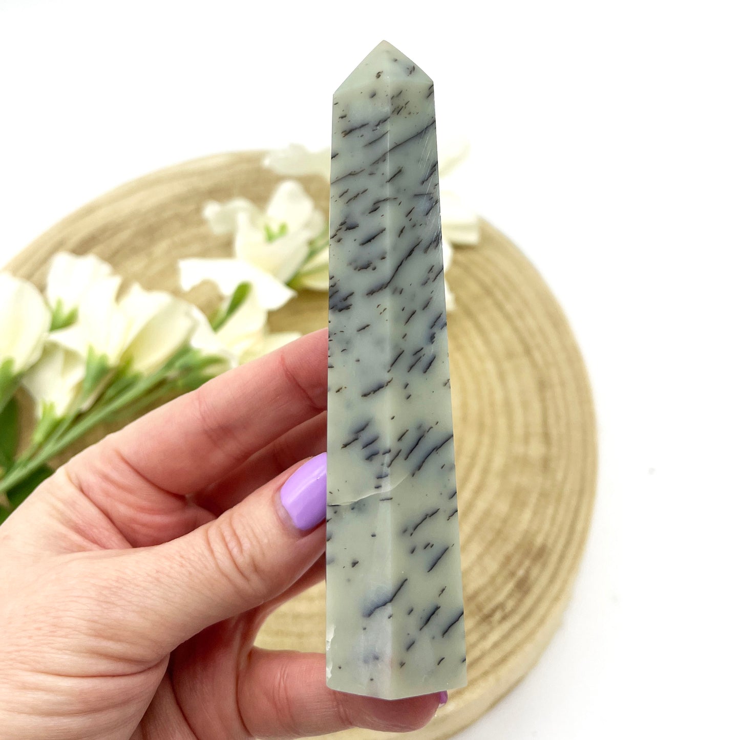 Polished Dendritic Jasper generator crystals Australia