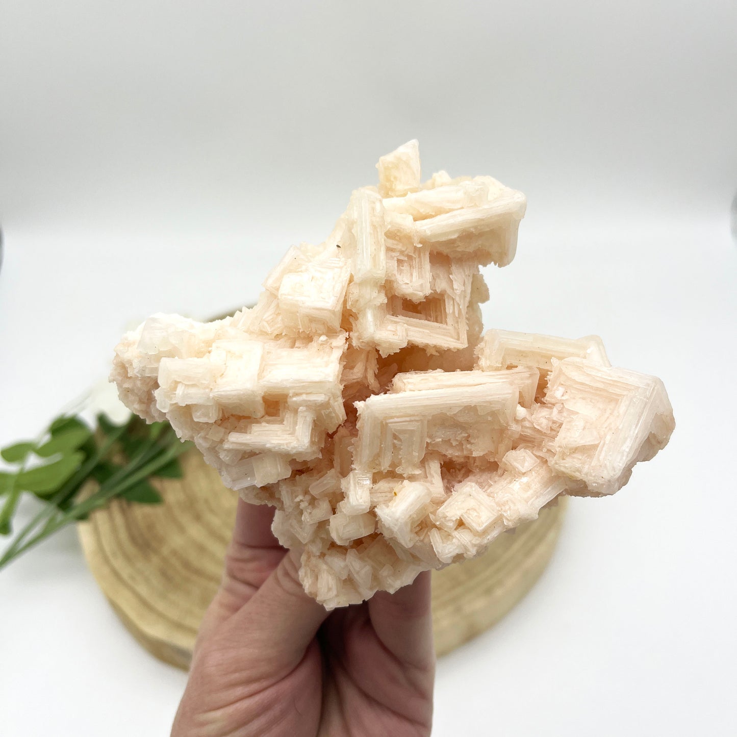 Pink halite crystal cluster