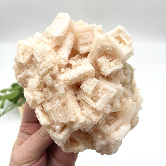 Pink halite crystal cluster