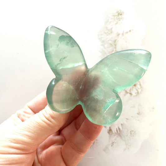 Fluorite butterfly
