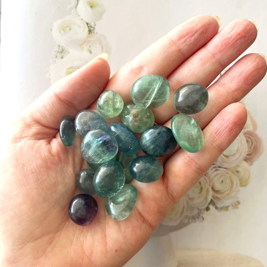 Fluorite Tumbled Stone Pack