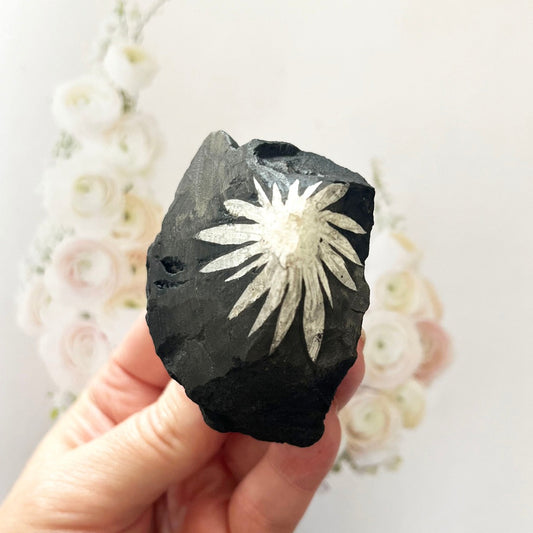 chrysanthemum stone for mothers day