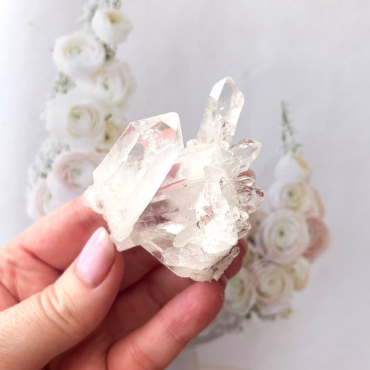 Pink Lemurian 2
