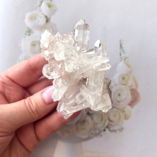Pink Lemurian 4