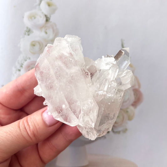Pink Lemurian 6