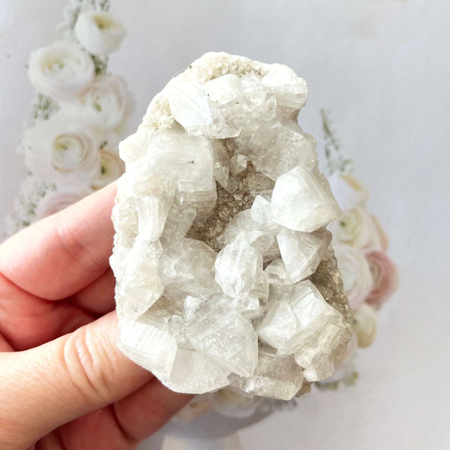 Apophyllite Cluster