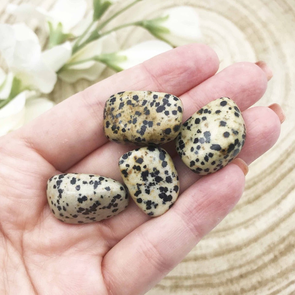 Dalmation Jasper tumbled stones Australia. Someday Dream co. online crystal and mineral store
