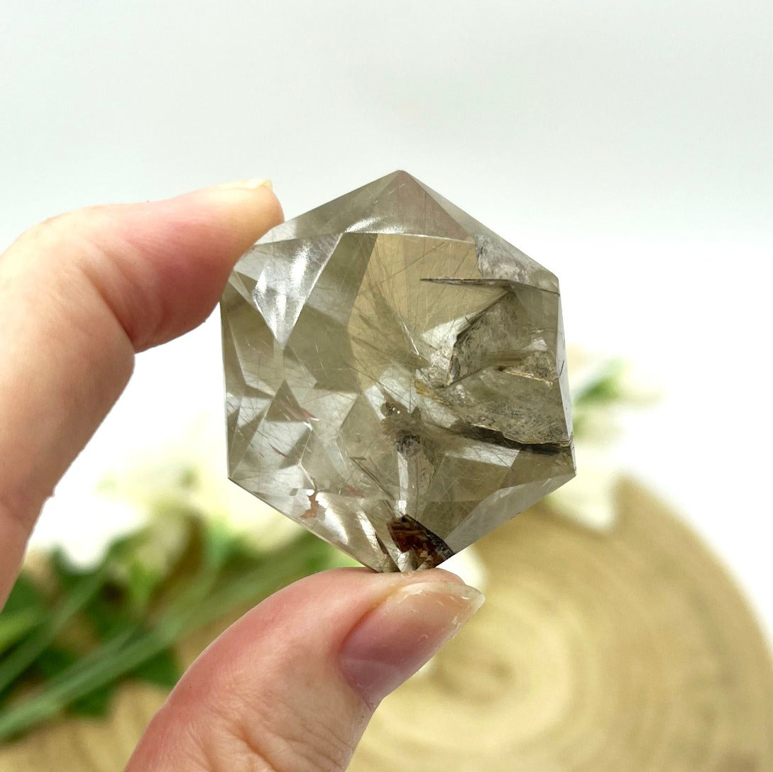 Garden quartz with rutile crystal