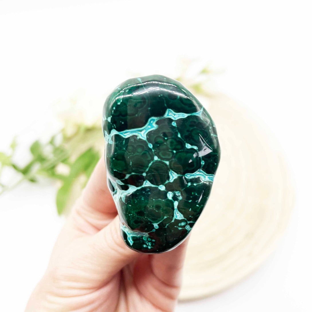 Malachite with Chrysocolla inclusions polished stone. Someday Dream Co